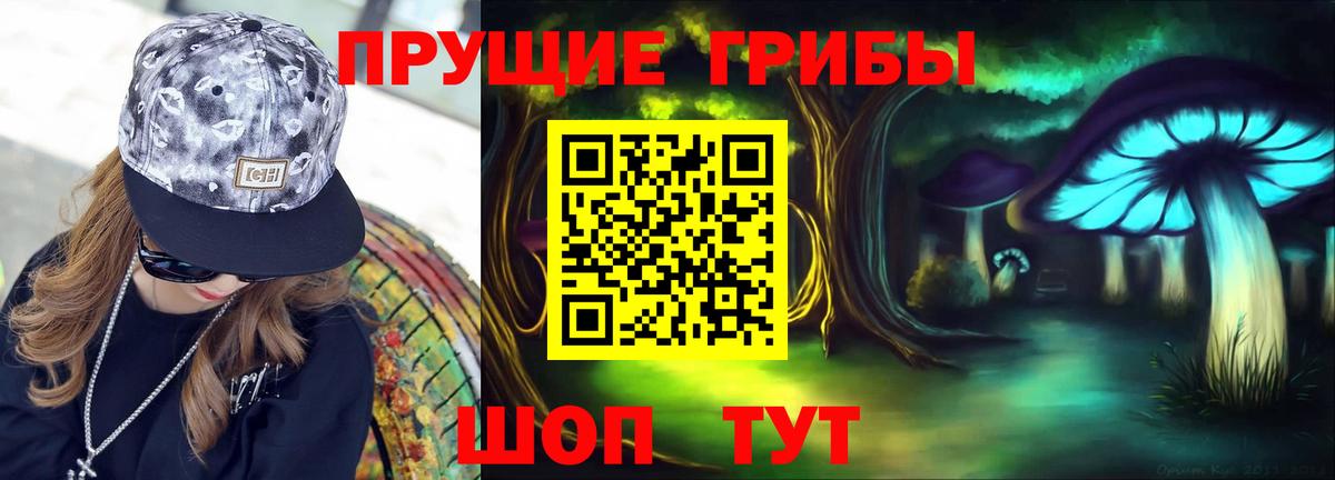 Галлюциногенные грибы прущие грибы Чернушка