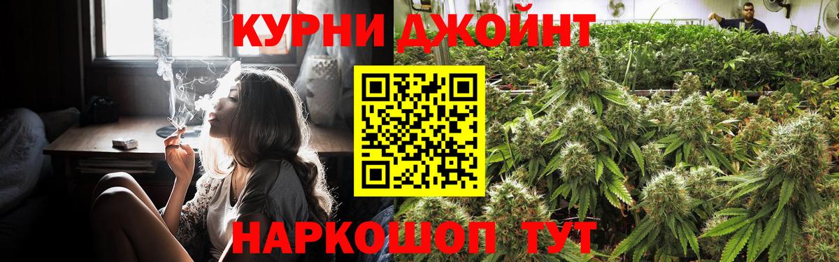 Каннабис индика Чернушка